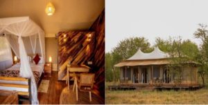 SERENGETI HOUSE OF NATURE