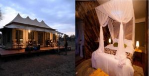 SERENGETI HOUSE OF NATURE